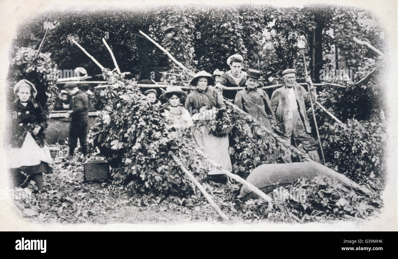 Un gruppo di Kentish raccoglitrici di luppolo. Data: circa 1900 Foto Stock
