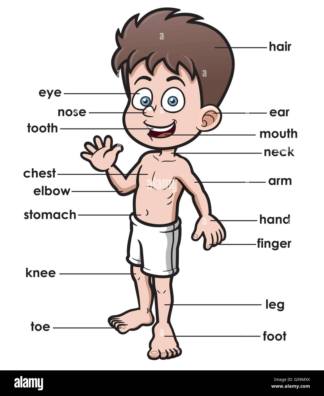 nome della parte del corpo umano del ragazzo simpatico cartone animato per  bambini in inglese 9954630 Arte vettoriale a Vecteezy