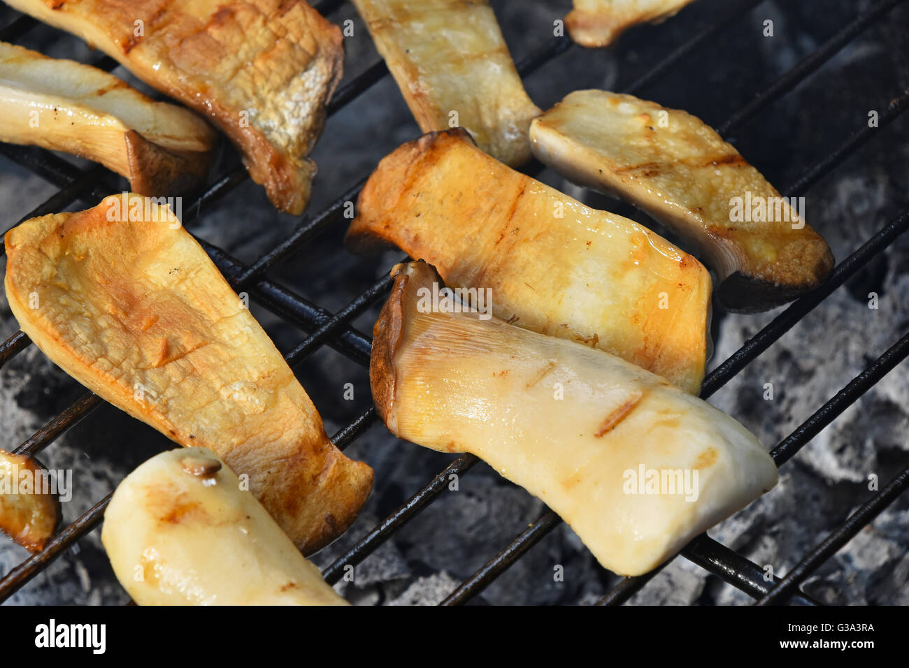 Fette di King Brown funghi Oyster, Pleurotus eryngii, essendo cotti su char grill Foto Stock