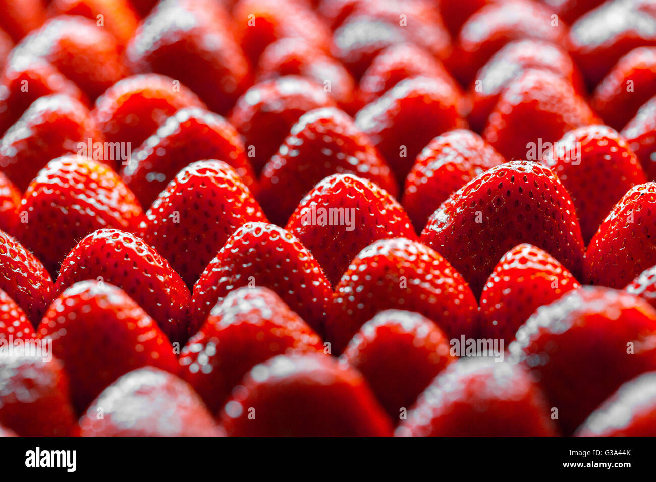 Lo sfondo da raccolti di fresco Fragole, direttamente sopra Foto Stock