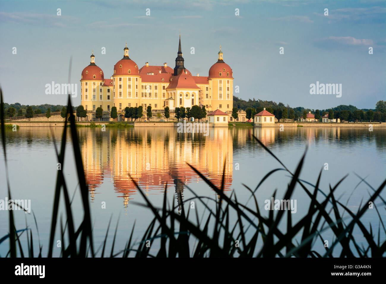 Castello di Moritzburg, stagno Schlossteich, Germania, Sassonia, Sassonia, , Moritzburg Foto Stock