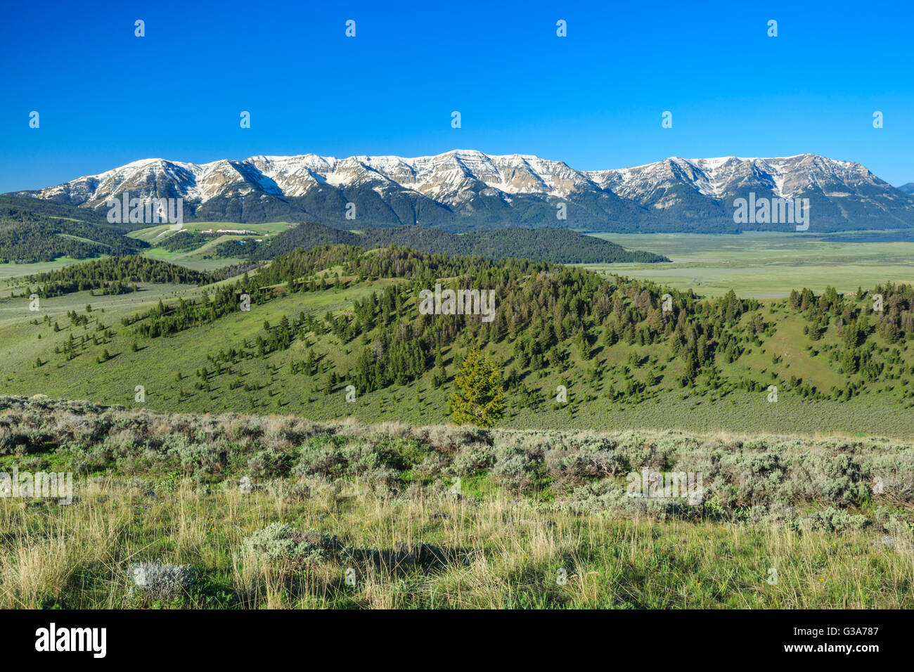 Il Centennial montagne sopra il red rock Lakes National Wildlife Refuge vicino a lakeview, montana Foto Stock