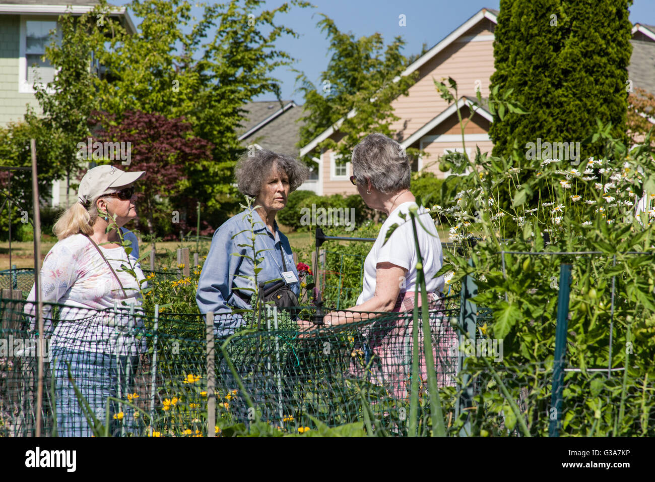 La gente in giro per la provvidenza punto Pea Patch in giardino Issaquah, Washington, Stati Uniti d'America Foto Stock