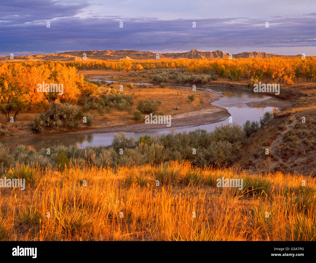 Autunno sunrise luce oltre la polvere sulla valle del fiume vicino broadus, montana Foto Stock