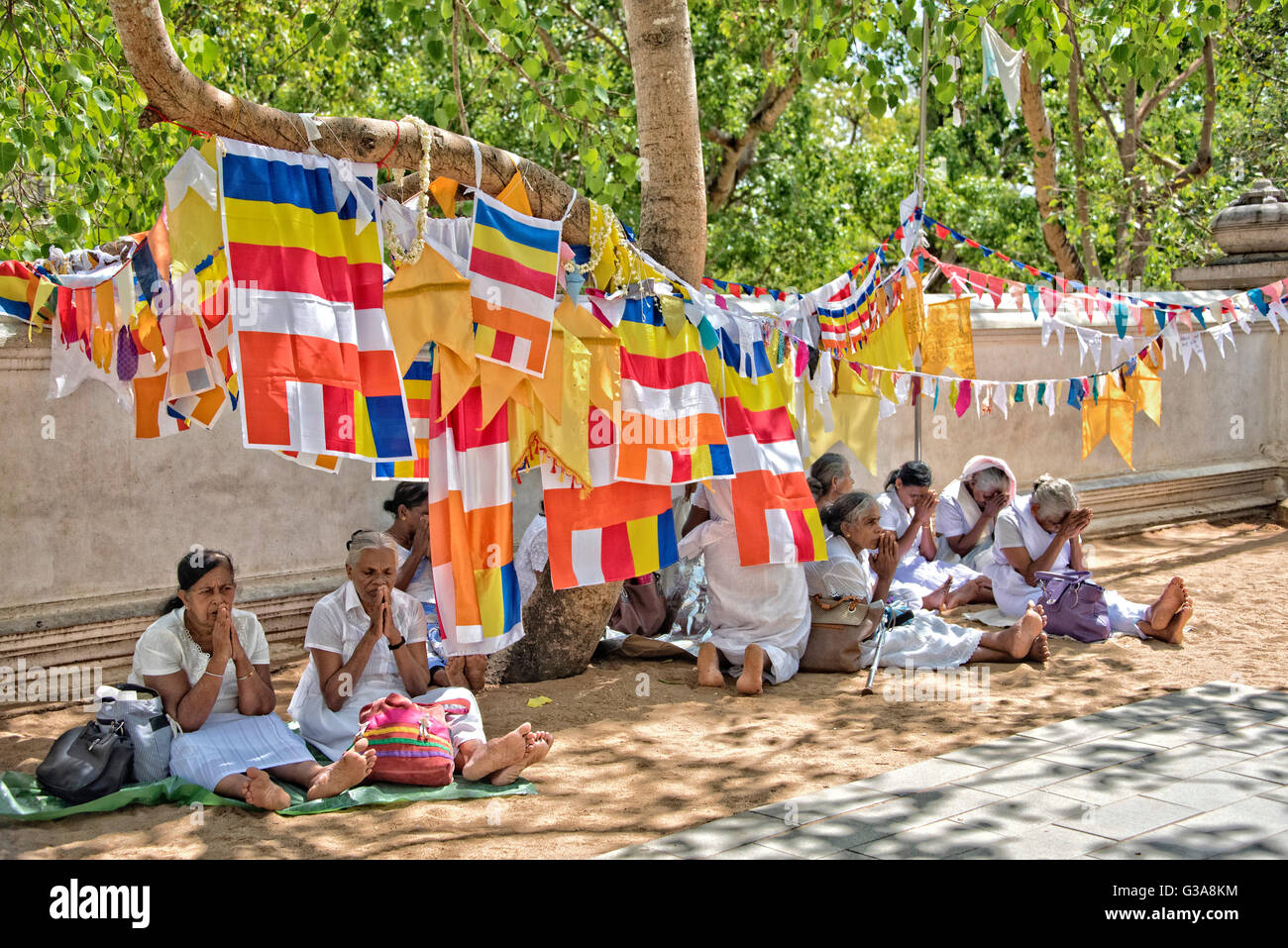 Donne pregando da Sri Maha Bodhi tree, Anuradapura Tempio Sri Lanka Foto Stock