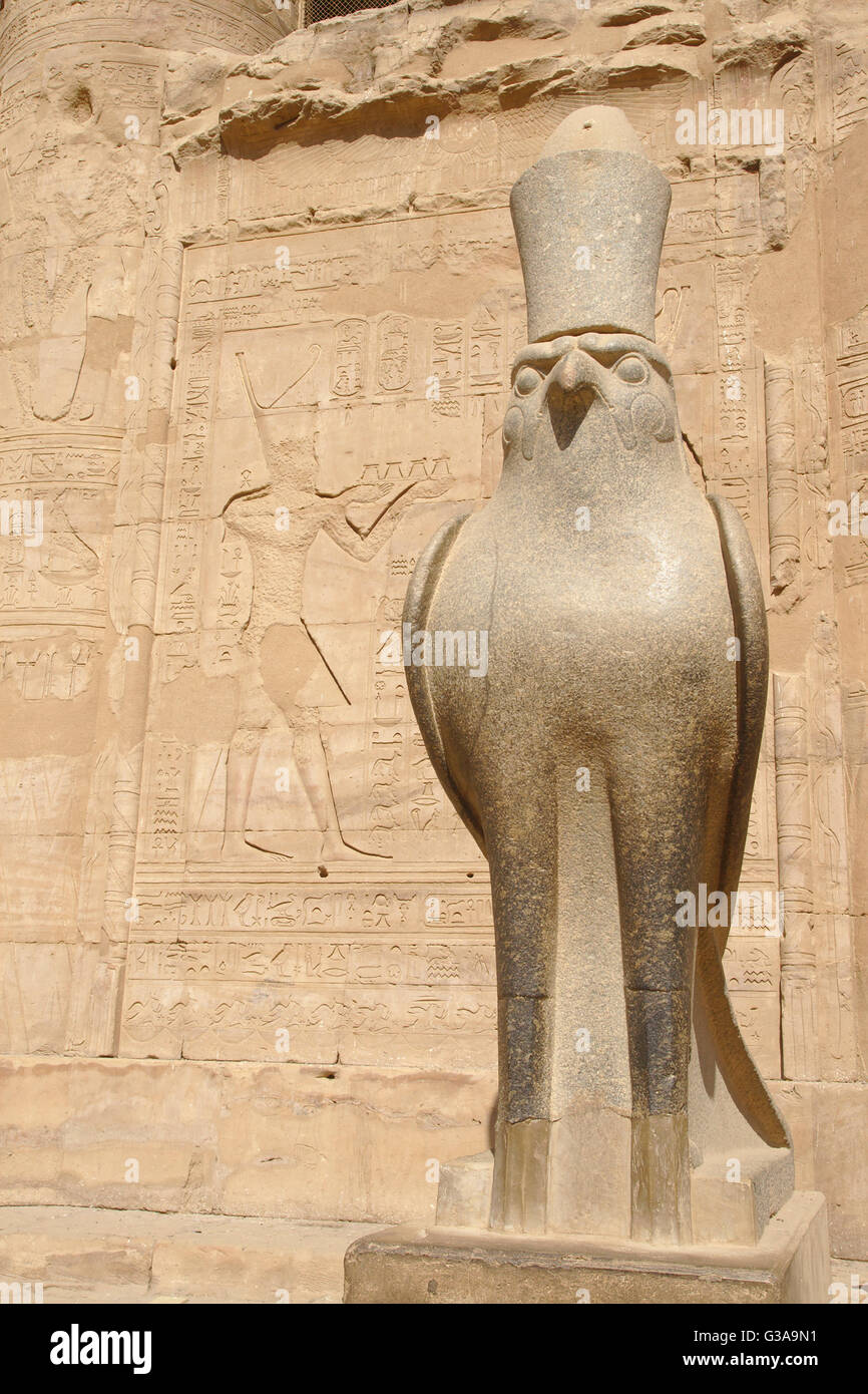 Falcon statua, Tempio di Horus Edfu, Egitto Foto Stock