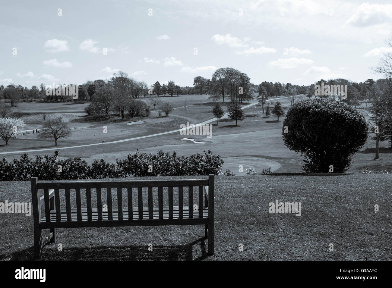 Immagine di un sedile in legno che si affaccia su un paese campo da golf nel Surrey in Inghilterra Foto Stock