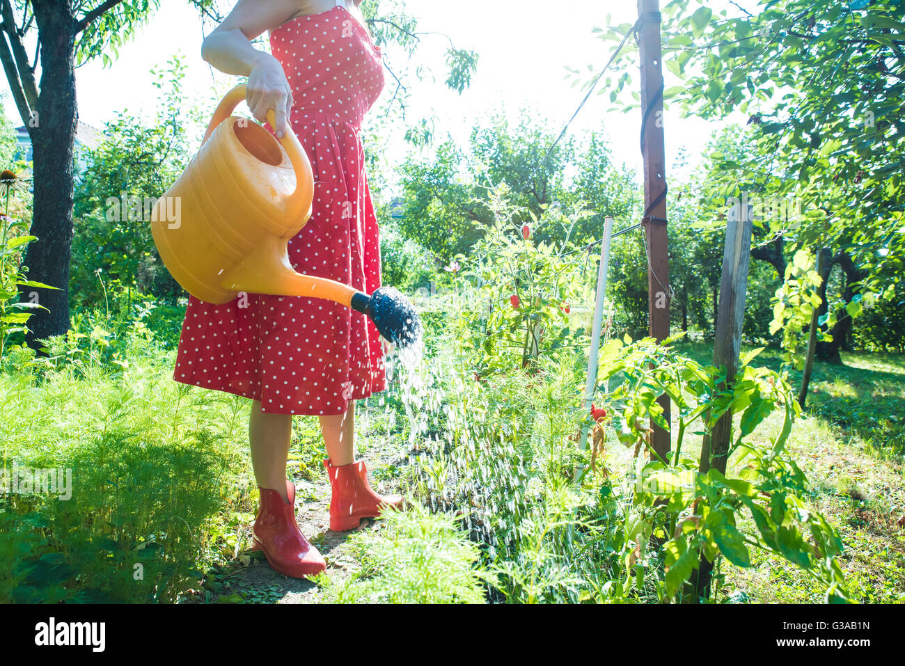 Una giovane e bella donna in un Vintage dress annacquare le piante in giardino. Foto Stock