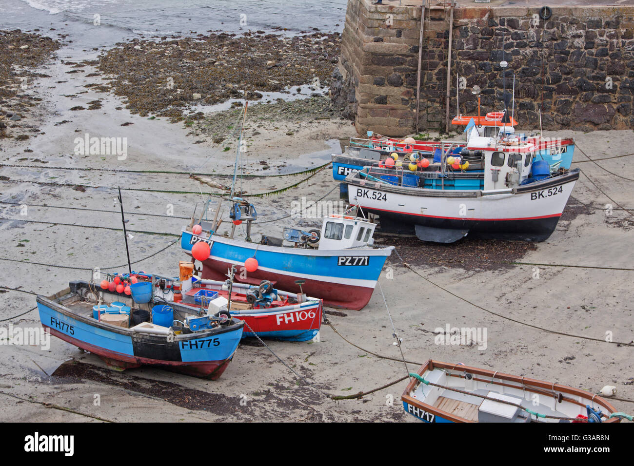 Barche da pesca ormeggiate a bassa marea in Coverack porto. La pesca svolge un ruolo vitale nell'economia locale Foto Stock