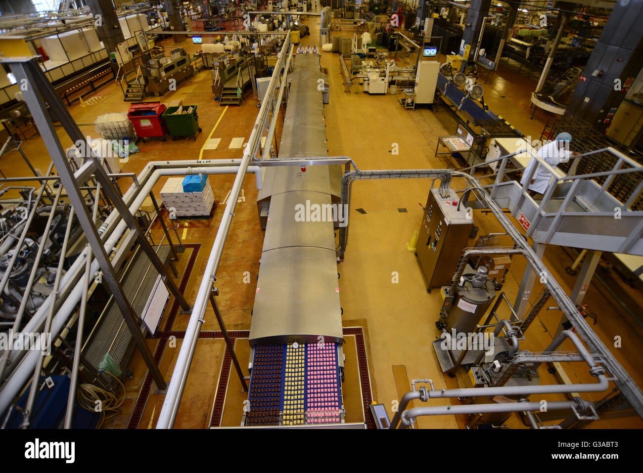 All'interno del Premier Foods factory, Carlton, Barnsley, South Yorkshire, Regno Unito. Foto Stock
