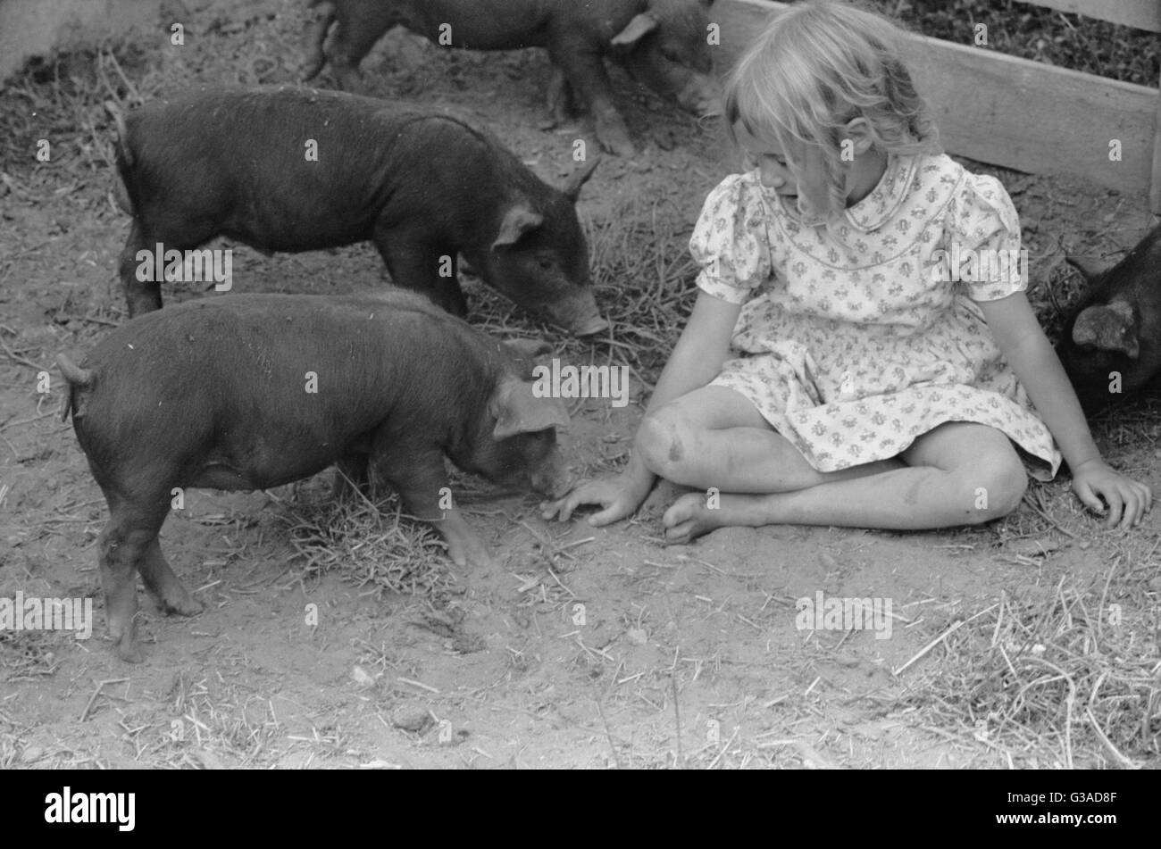 Figlia del cliente di reinsediamento, San Luis Valley Farms, Alam Foto Stock Figlia del cliente di reinsediamento, San Luis Valley Farms, Alam Foto Stock