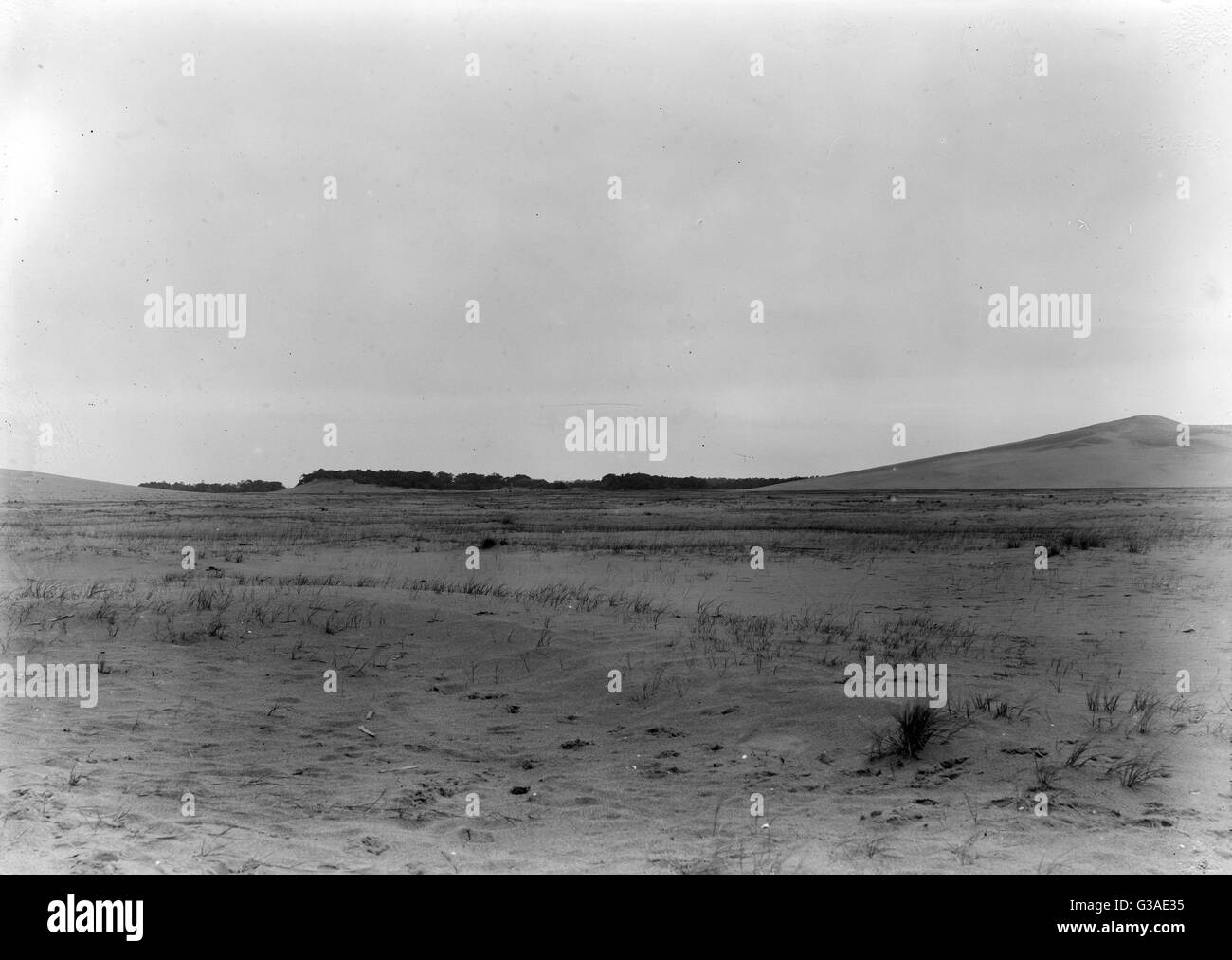 Vista a lungo raggio del campo dei fratelli Wright e di Kitty Hawk Foto Stock