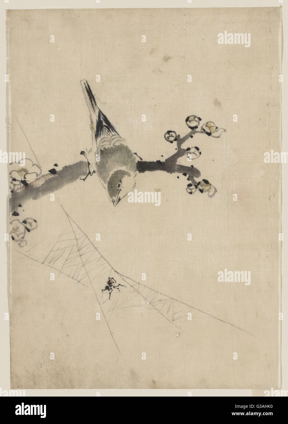 Un uccello arroccato su un ramo di albero con fiori, guardando un sp Foto Stock