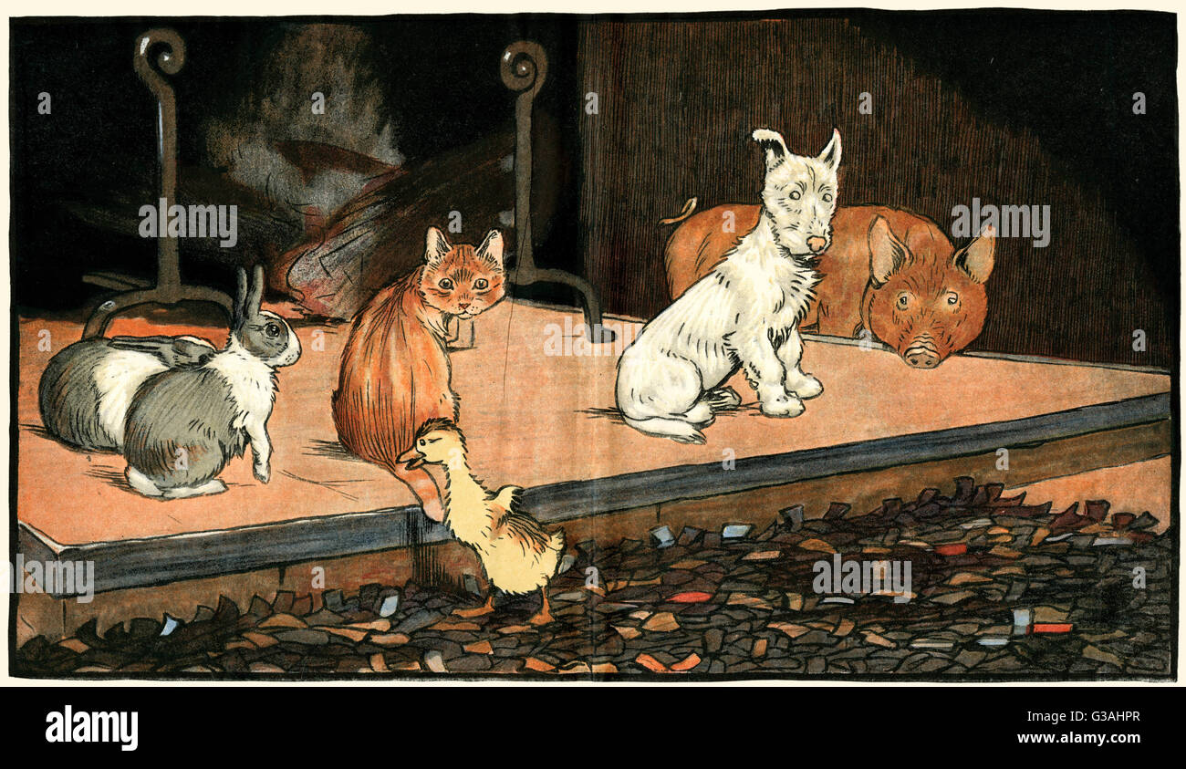 L'anatroccolo si unisce agli altri animali dal fuoco Foto Stock