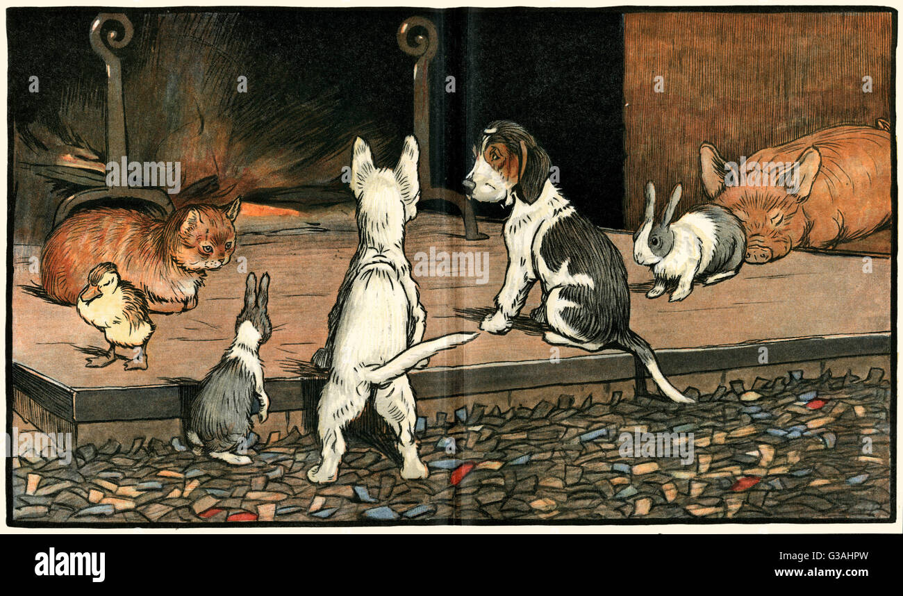 Forager il cucciolo si unisce agli altri animali dal fuoco Foto Stock