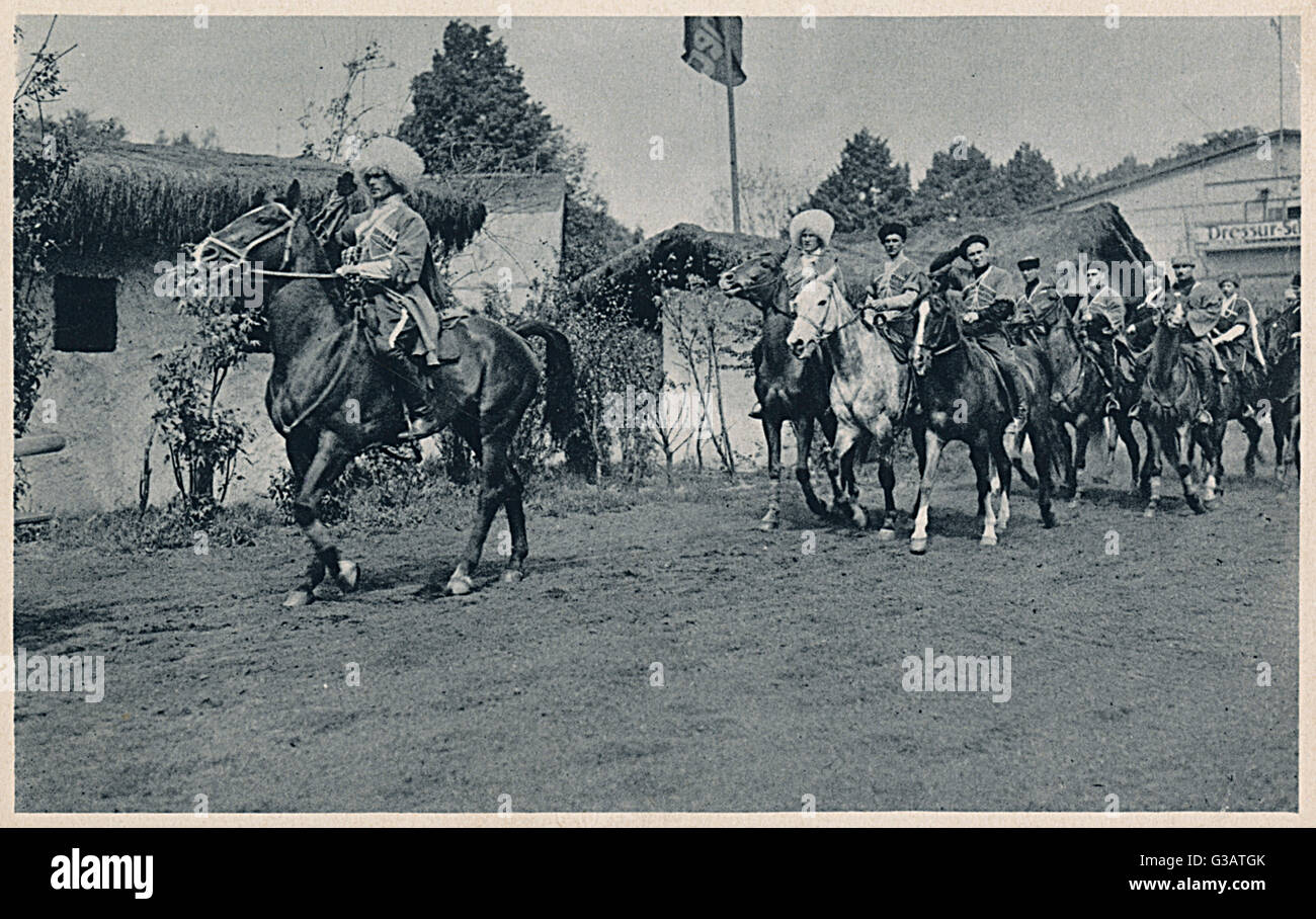 Cossack allo Zoo Carl Hagenbeck, Amburgo, Germania Foto Stock