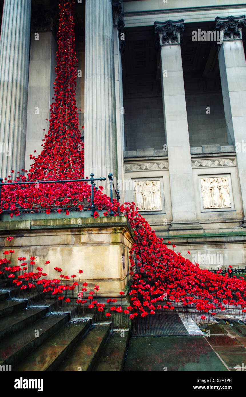 Ricordo il papavero, ceramica opera d'arte da Paolo Cummins e Tom Piper, St George's Hall di Liverpool. Il giorno dell'Armistizio Foto Stock