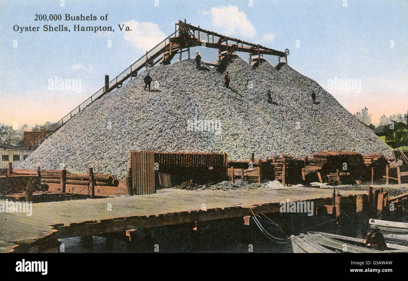 200.000 bushel di conchiglie di Oyster, Hampton, Virginia, USA Foto Stock