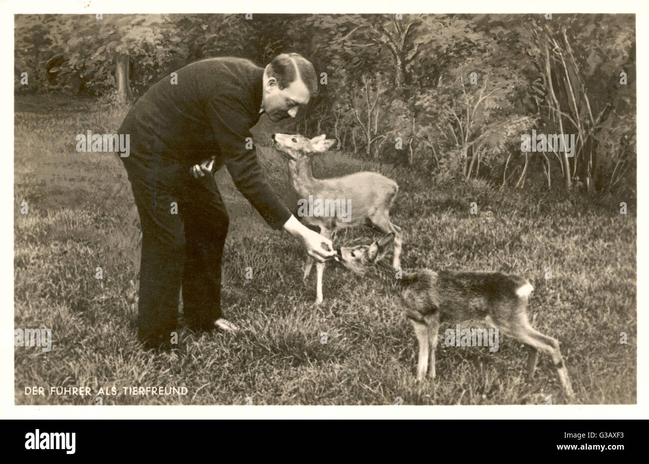 'Der Führer als Tierfreund' Hitler come animale-amante Data: 1930s Foto Stock