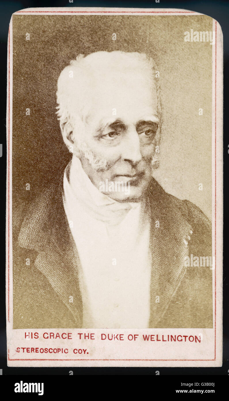 DUKE WELLINGTON/STEREO Foto Stock