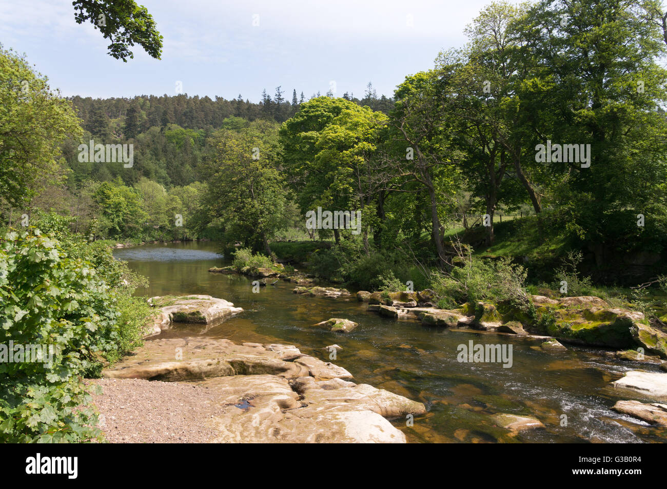 Il fiume Coquet vicino Thrum Mulino a Rothbury, Northumberland, England, Regno Unito Foto Stock