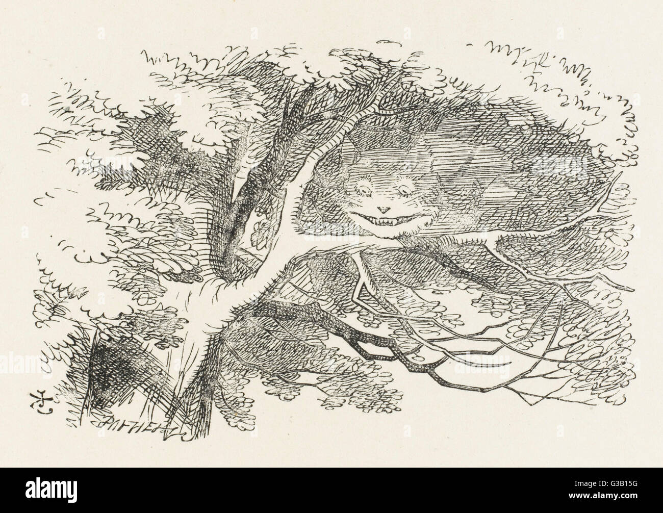 ALICE &AMP; lo Stregatto lo Stregatto svanisce. Data: pubblicato per la prima volta 1865 Foto Stock