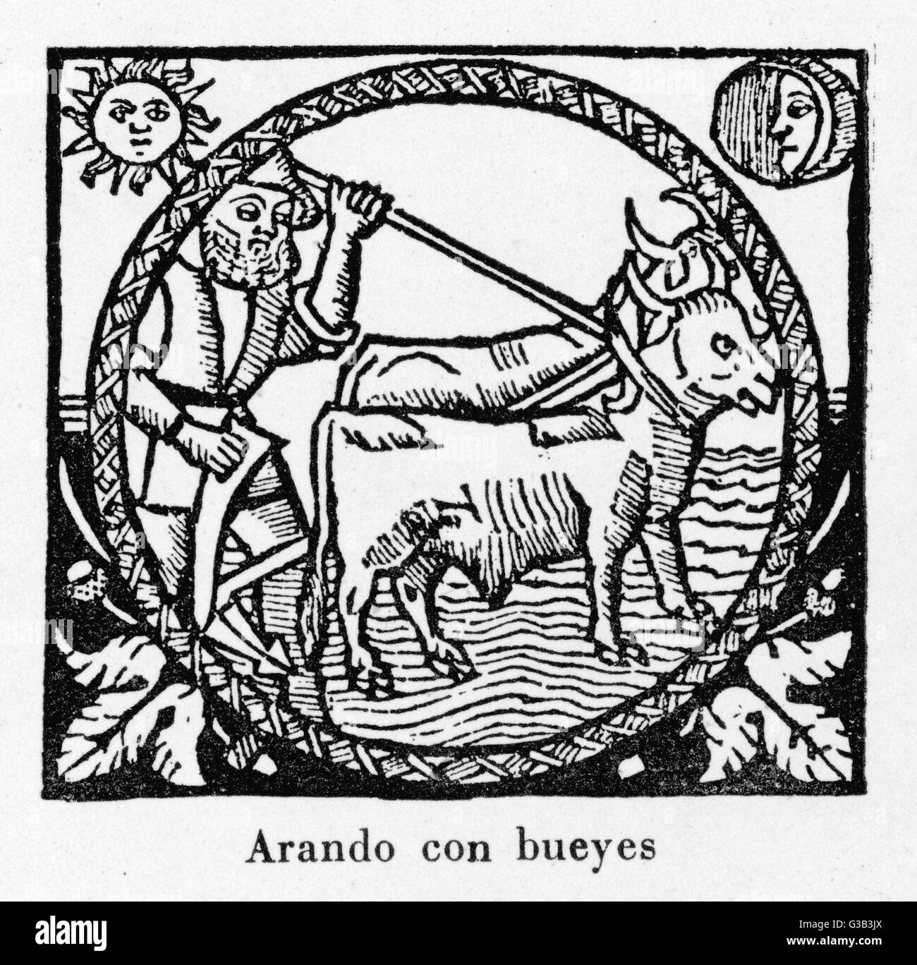 Aratura, Spagna 1511 Foto Stock