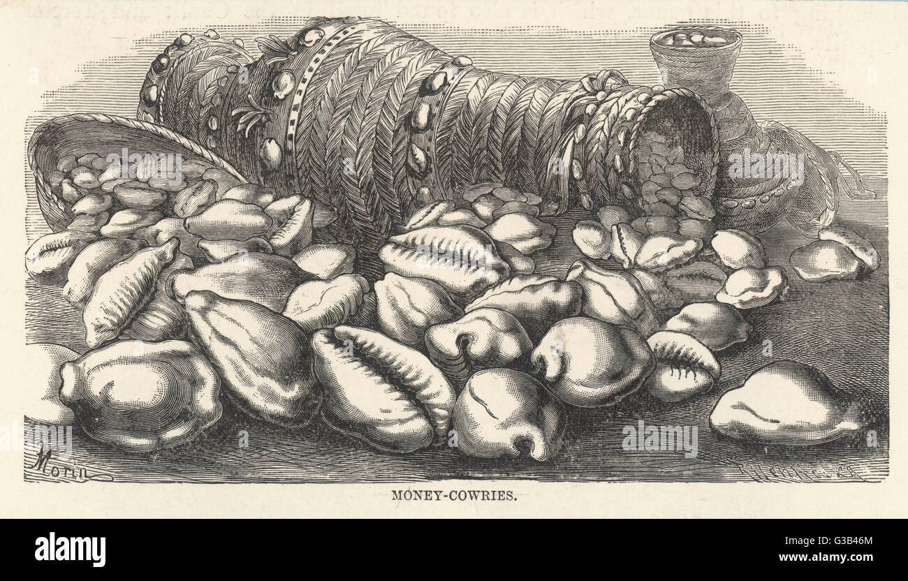 "Money-cowries" nelle isole del Pacifico data: 1868 Foto Stock