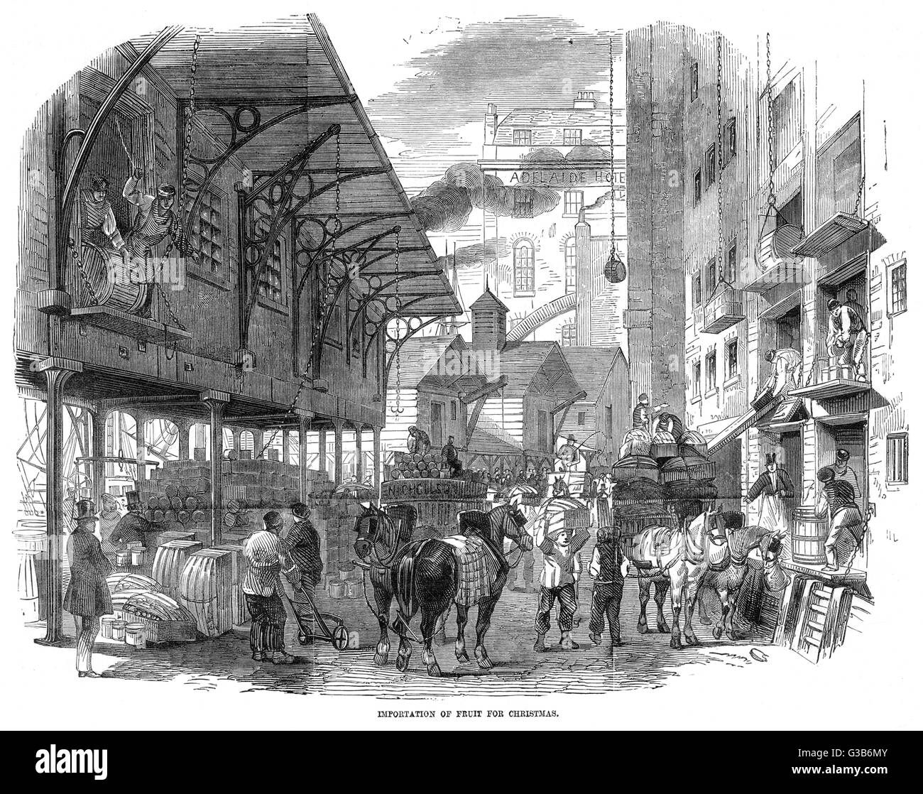 Importazione di frutta a Docks Foto Stock