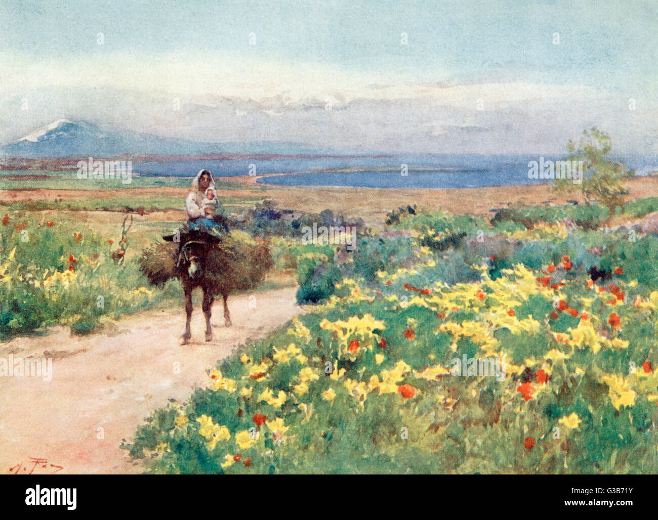 SICILIA/PAESAGGIO 1911 Foto Stock