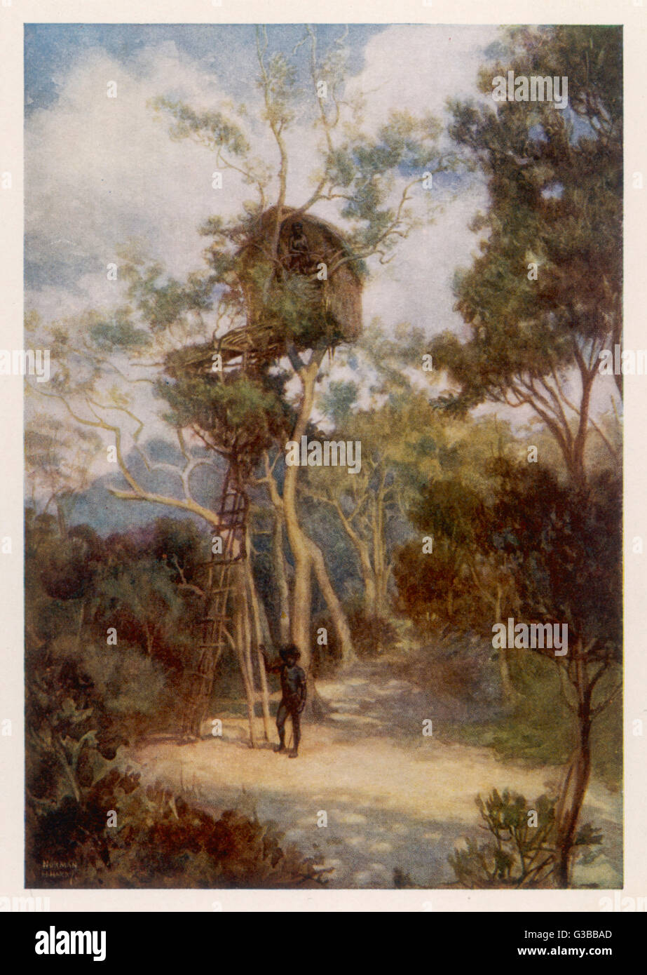 PAPUA/CASA SULL'ALBERO 1911 Foto Stock