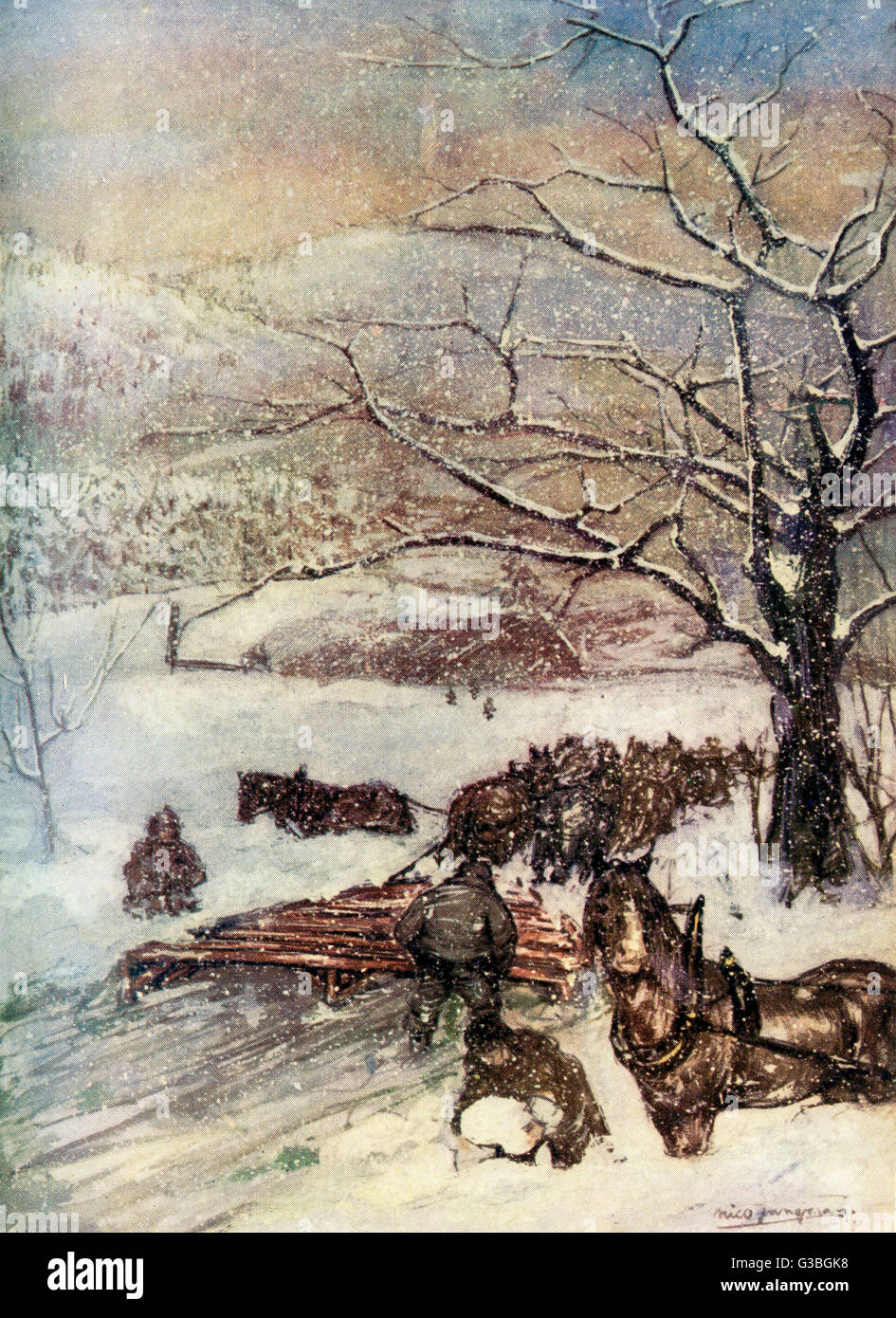 SPAZZANEVE NORVEGESE Foto Stock