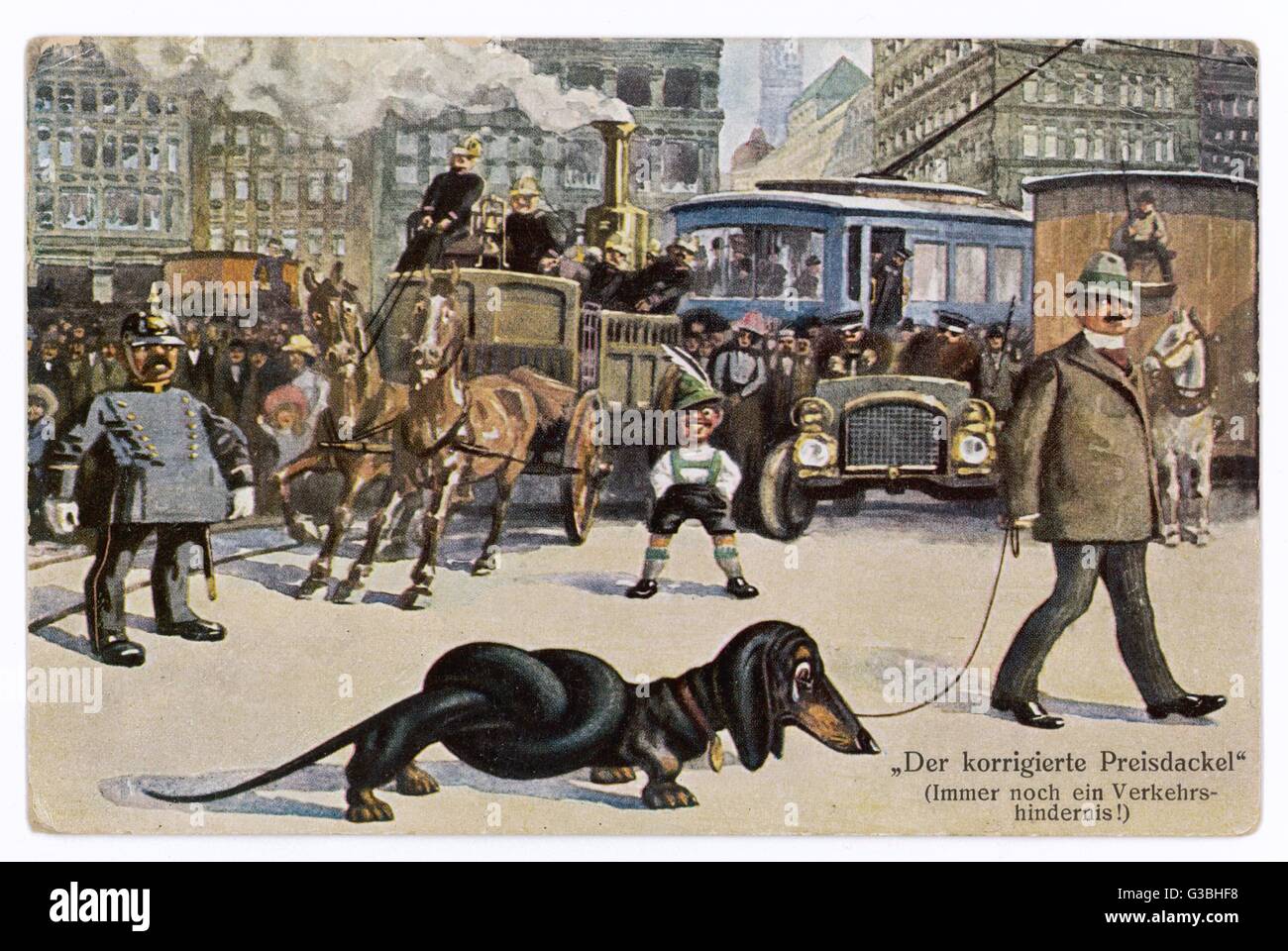 Lungo il cane bassotto Foto Stock