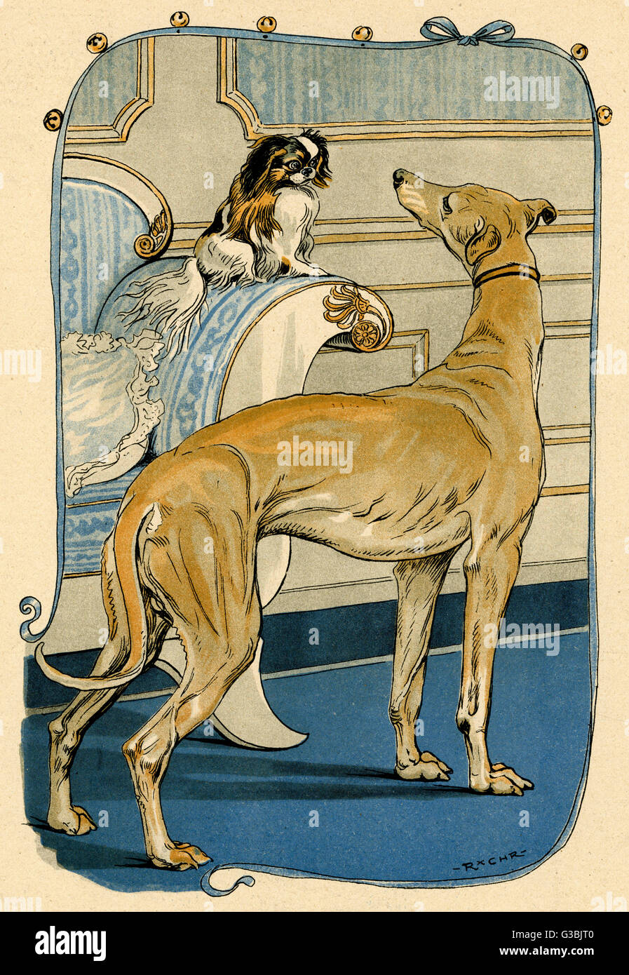 GREYHOUND E PEKINGESE Foto Stock