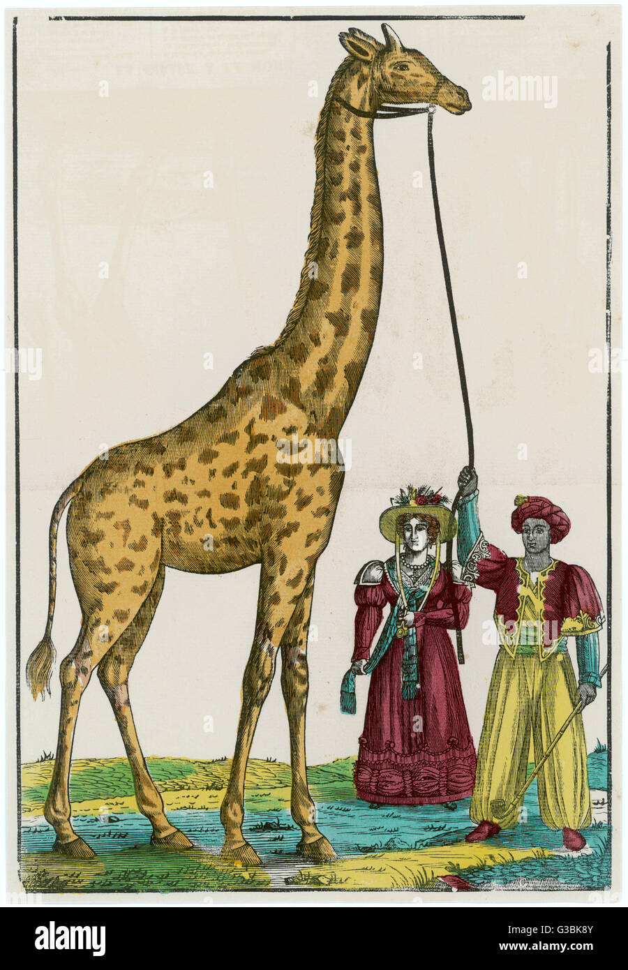Zarafa, una giraffa presentato a Carlo X di Francia dal viceré d'Egitto e alloggiata nel jardin d'Acclimatation, Parigi. Data: 1826 Foto Stock