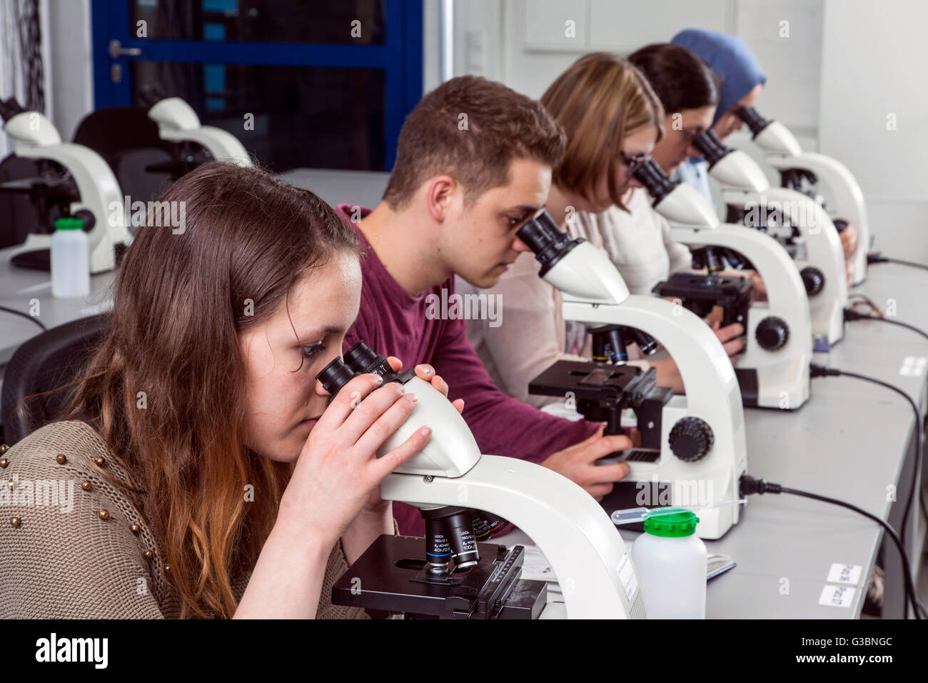 Gli studenti di un corso di microscopia presso l'università a causa Foto Stock