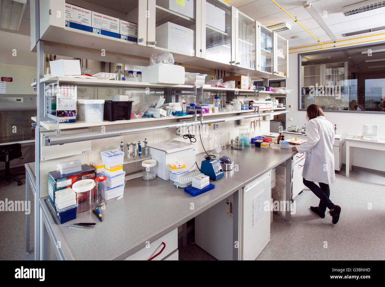 Il biologo nel laboratorio di genetica Foto Stock