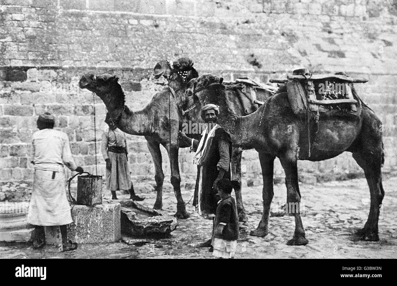 Uomini con cammelli in una cisterna, Betlemme Foto Stock