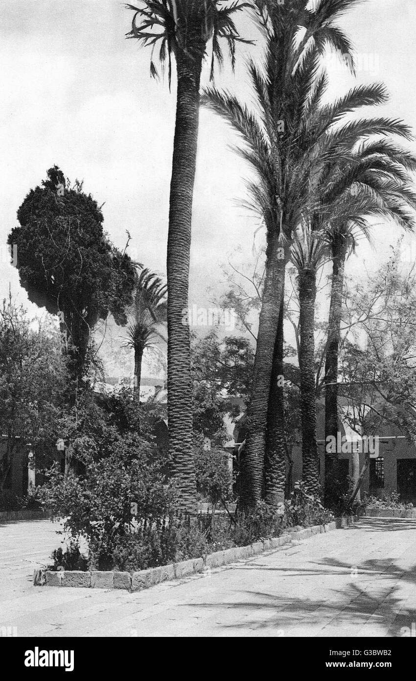 Corte esterna della moschea, Acre, Galilea, Israele settentrionale Foto Stock