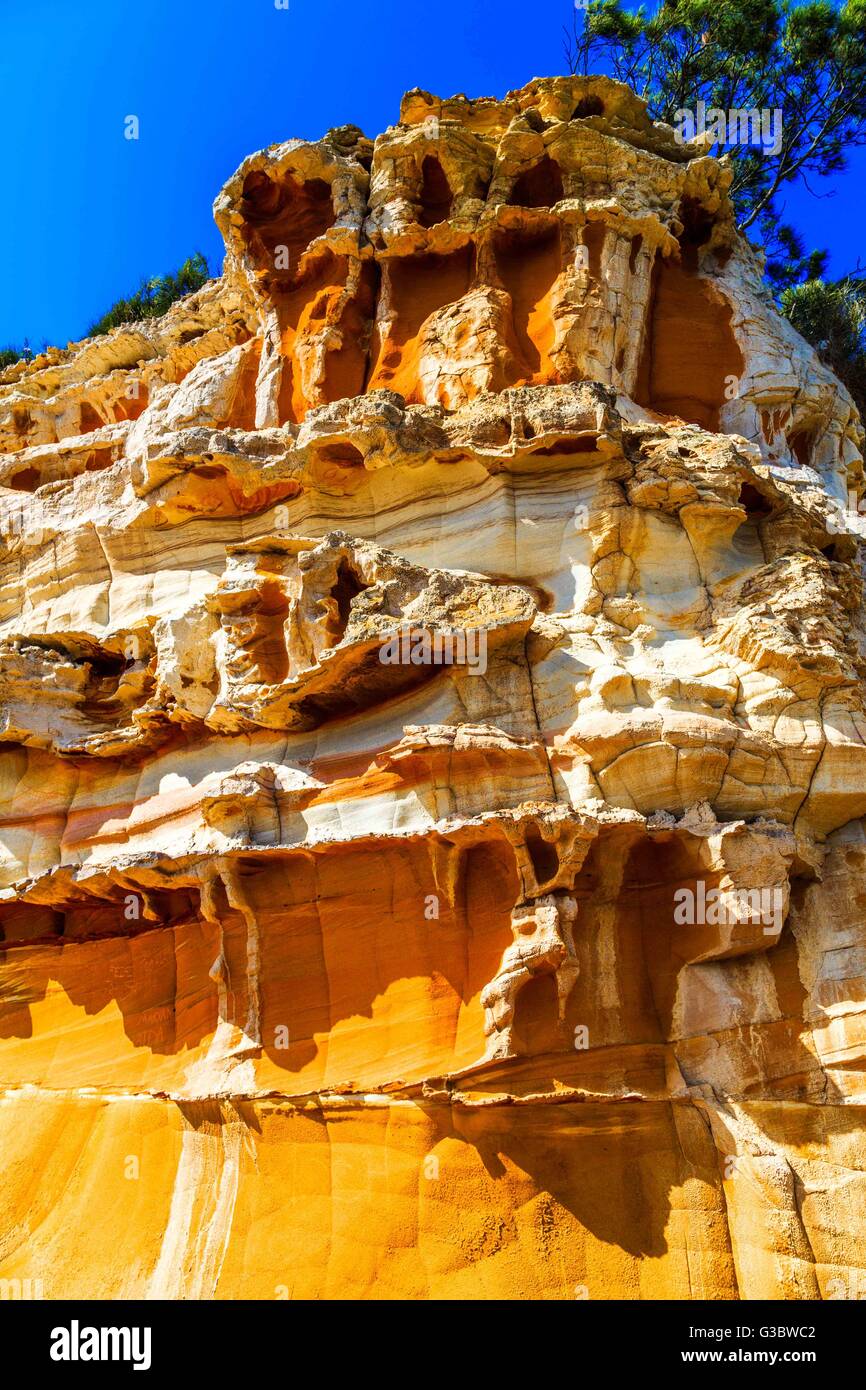 Le formazioni rocciose a Haven, Terrigal Beach, NSW Australia, con il blu del cielo Foto Stock