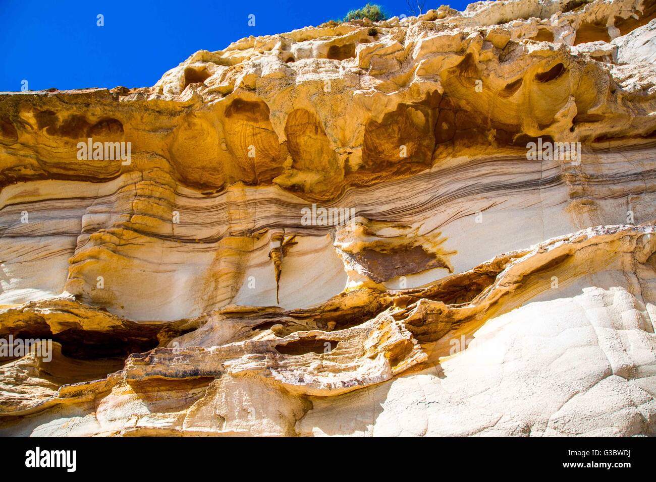 Le formazioni rocciose a Haven, Terrigal Beach, NSW Australia, con il blu del cielo Foto Stock