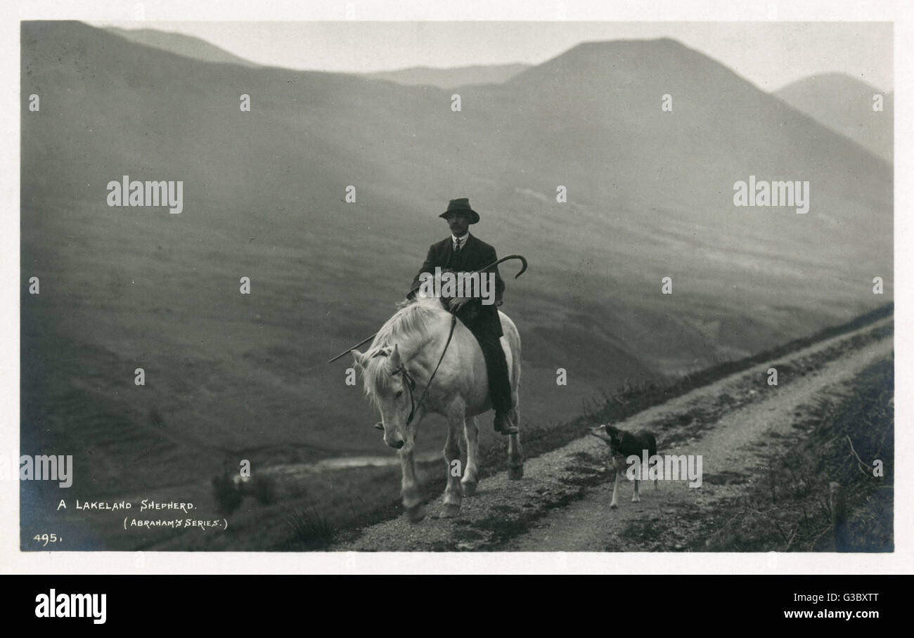 Un Lakeland Dalesman Pastore a cavallo portando a casa una pecora malaticcio, Cumbria - il suo fedele cane trot accanto a Data: 1913 Foto Stock