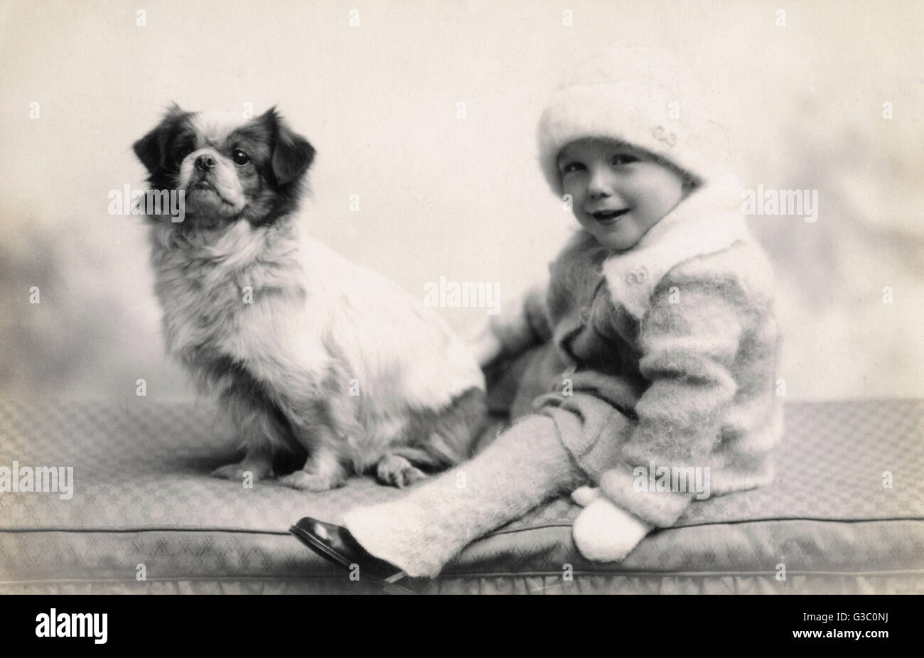 Studio ritratto di bambino e cane Foto Stock