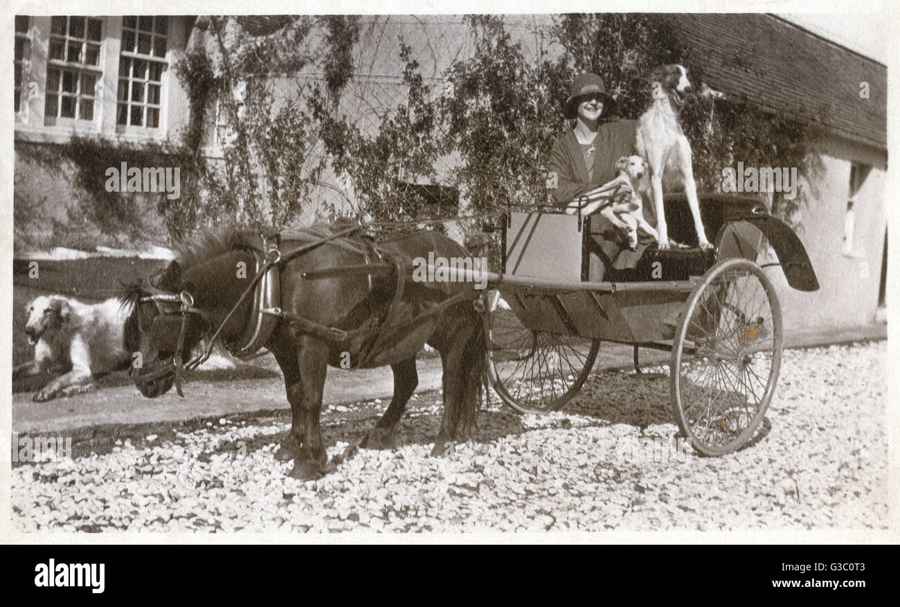 Onorevole K McNeil di Glasgow con tre Borzois -- bianco aquila di Barnaigh (sinistra), la Signora Fortuna di Barnaigh (b.1926, estrema destra), e il figlio di quest'ultimo. Con una carrozza trainata da cavalli al di fuori di un cottage. Data: 1930s Foto Stock