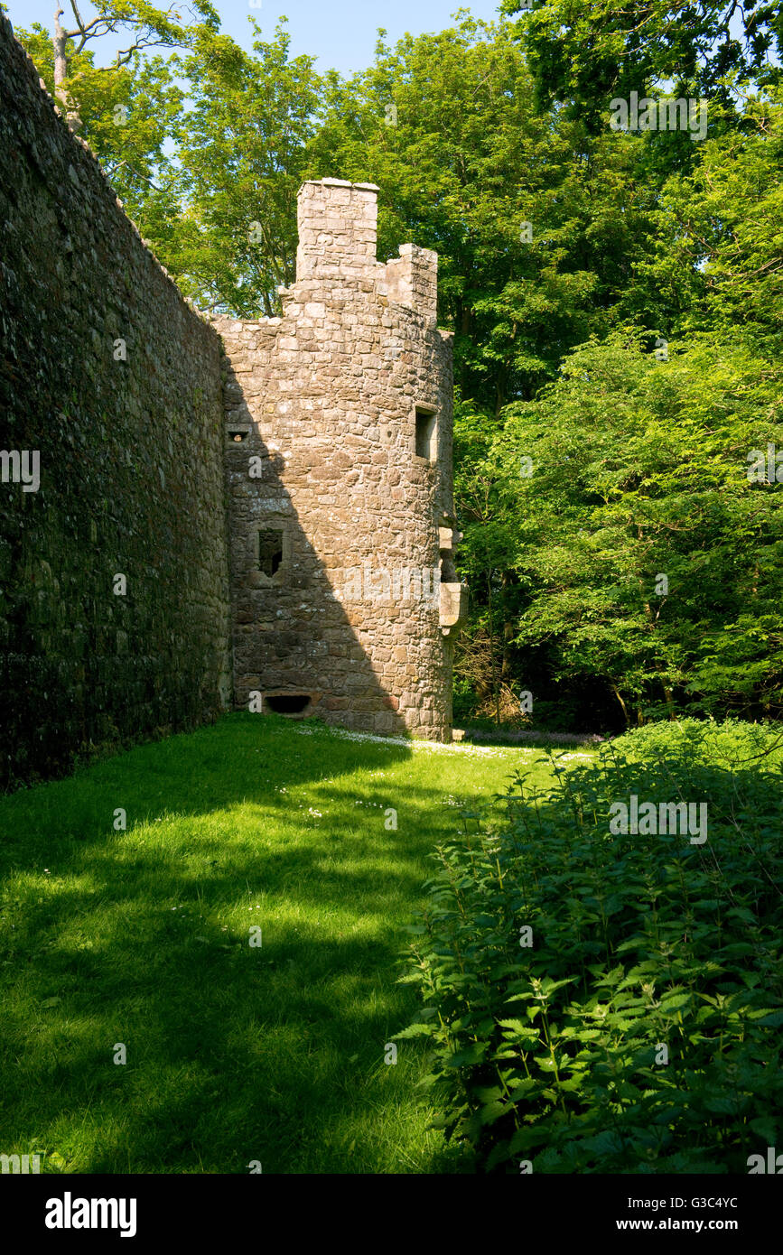 Torre glassin e sud-est del muro di castello. Loch Leven Castle vicino a Kinross, Scozia. Foto Stock