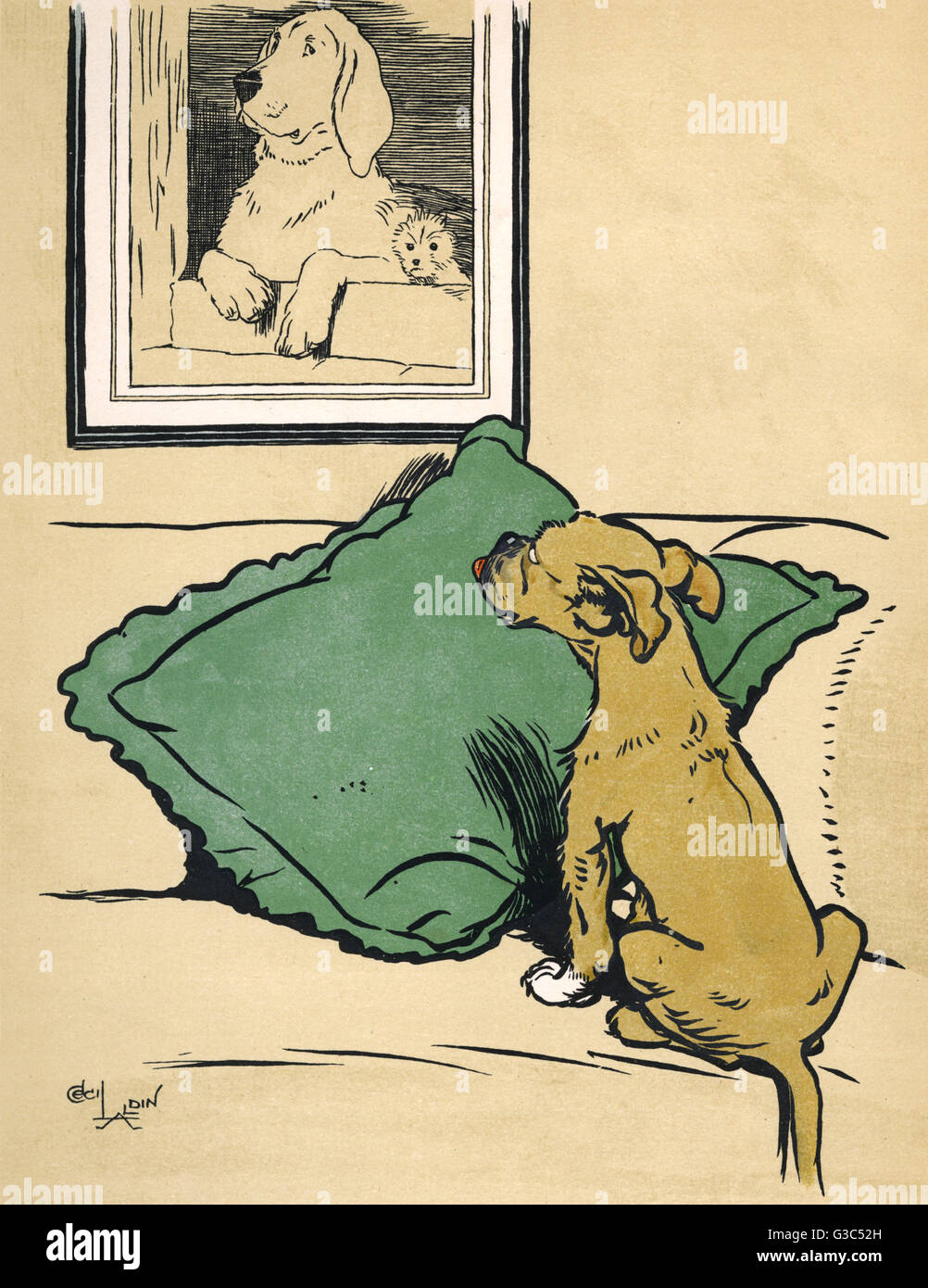 Frontespizio, il cane che non era quello che pensava fosse Foto Stock