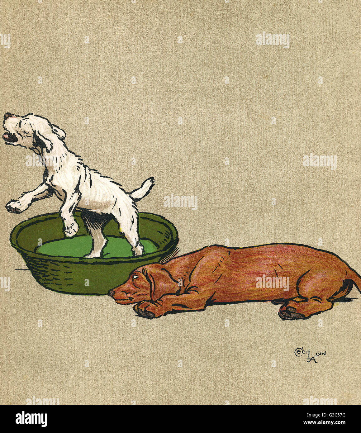 Illustrazione, allegra e luminosa, di Cecil Aldin Foto Stock