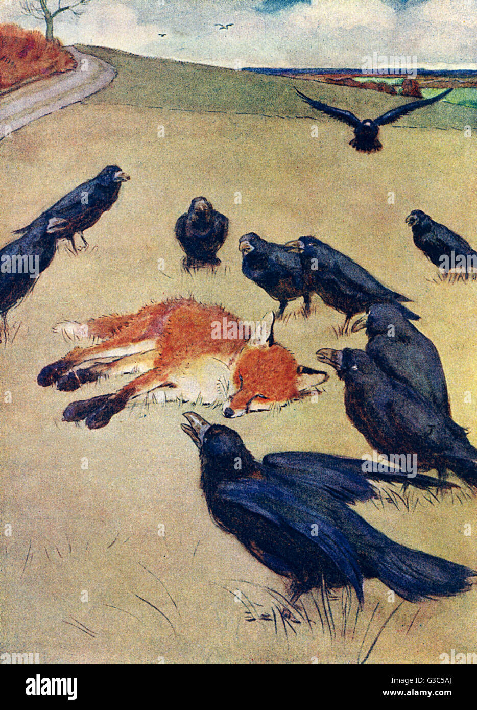 Illustrazione, corvi in attesa che la volpe muoia Foto Stock