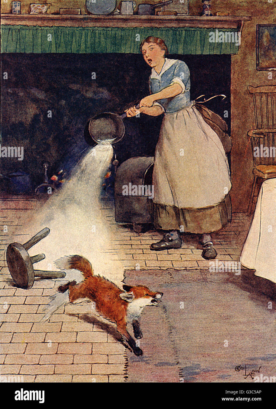 Illustrazione, l'orecchio bianco si esaurisce dalla cucina Foto Stock