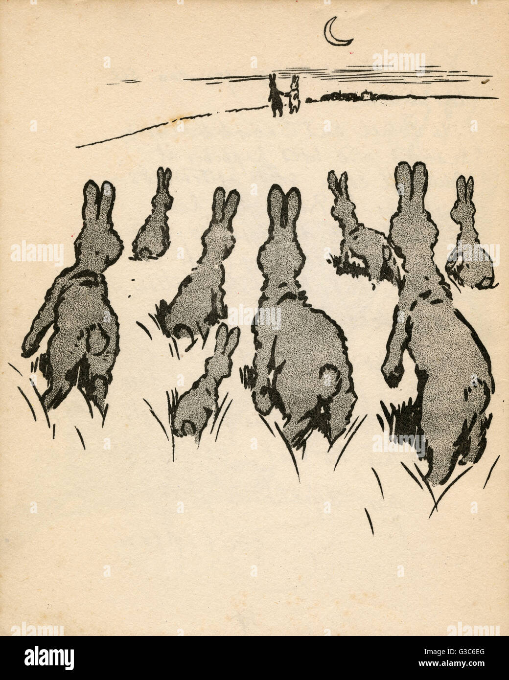 Illustrazione di Cecil Aldin, coniglio bianco Foto Stock